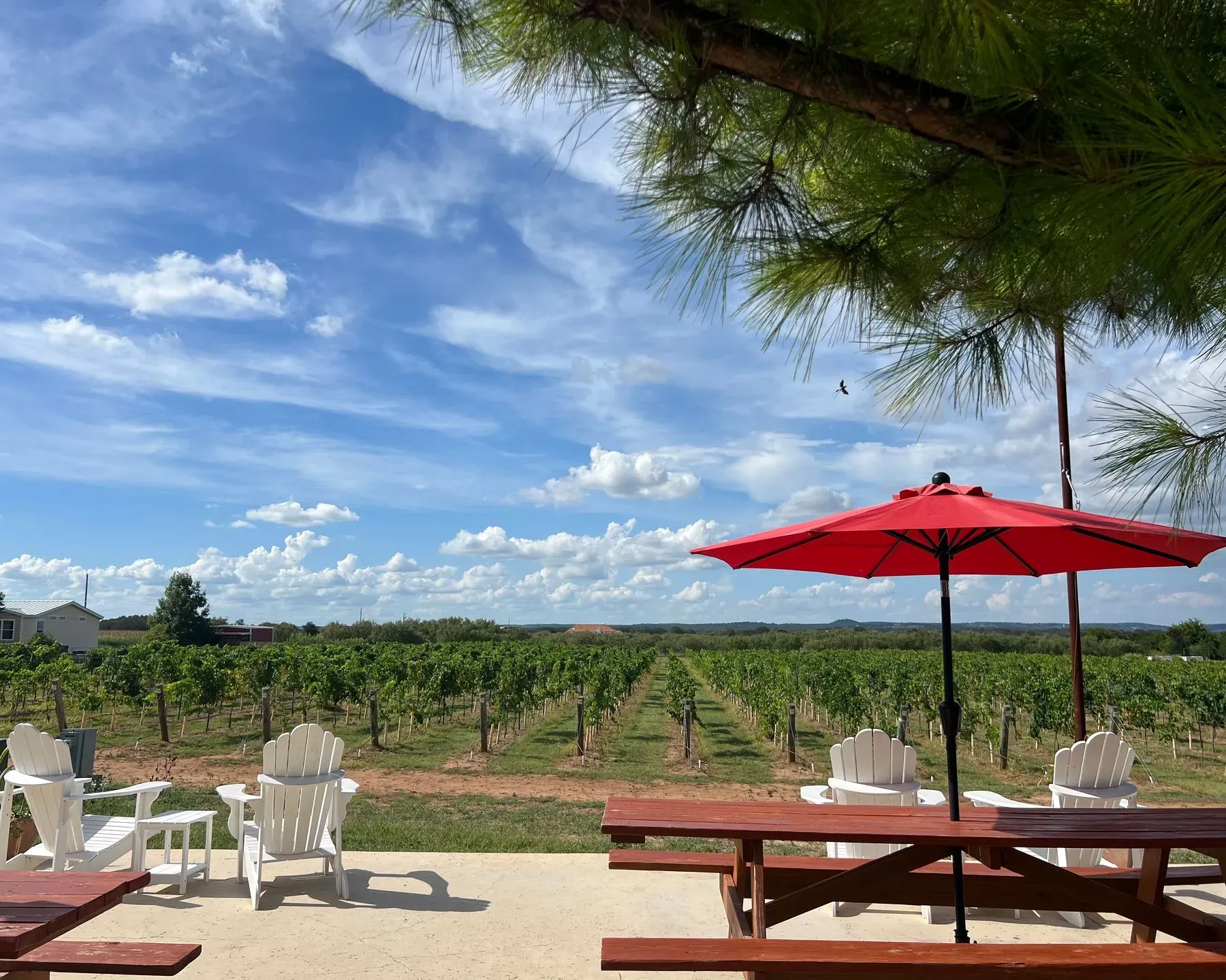 Hilmy Wines