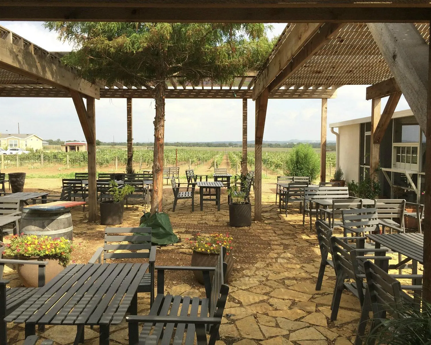 Hilmy Wines